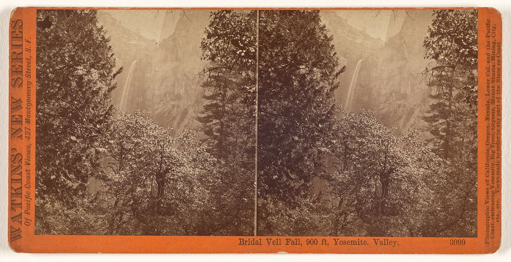 Bridal Vell [sic] Fall, 900 ft, Yosemite. Valley. by Carleton Watkins