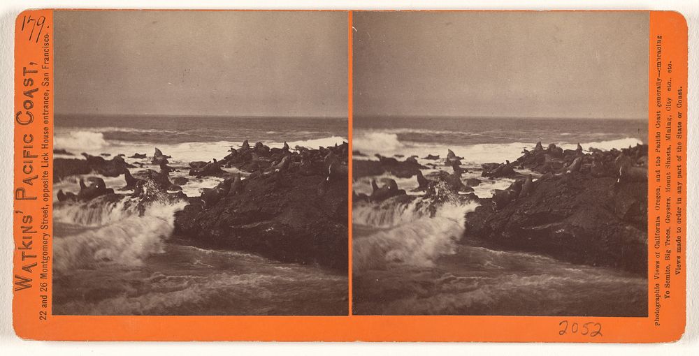 Seal Rocks, San Francisco by Carleton Watkins