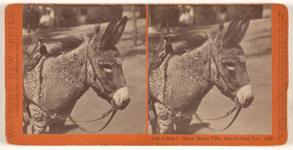 Take a Ride? Sierra Madre Villa. San Gabriel, Cal. by Carleton Watkins