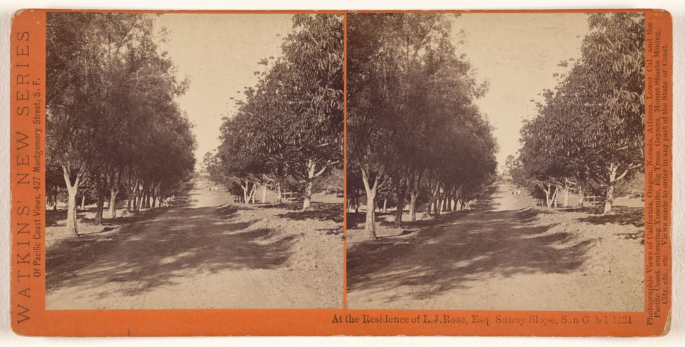 At the Residence of L.J. Rose, Esq. Sunny slope, San Gab'l by Carleton Watkins