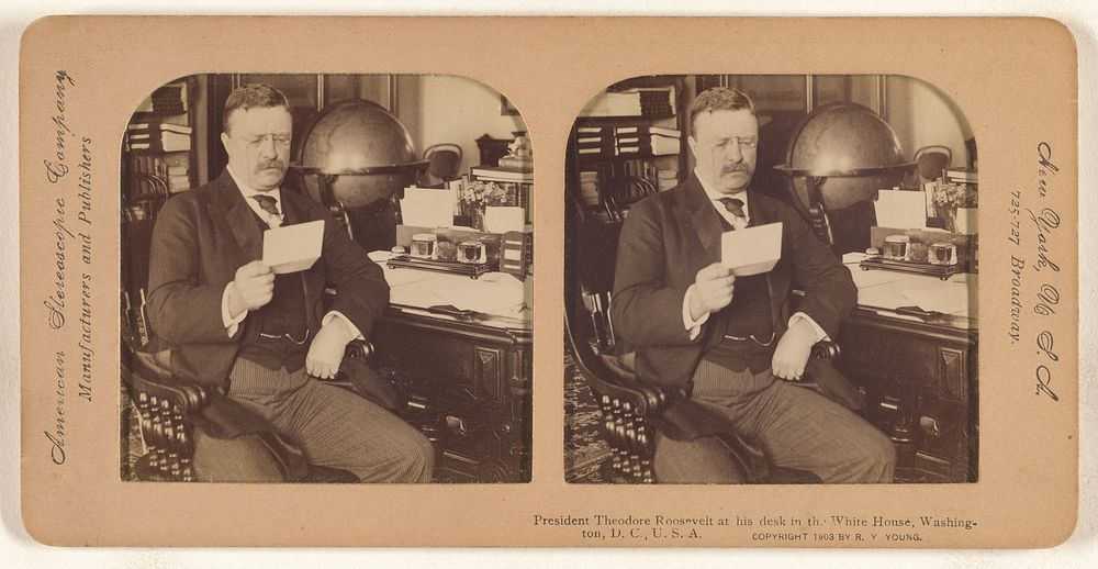 President Theodore Roosevelt at his desk in the White House, Washington, D.C., U.S.A. by R Y Young