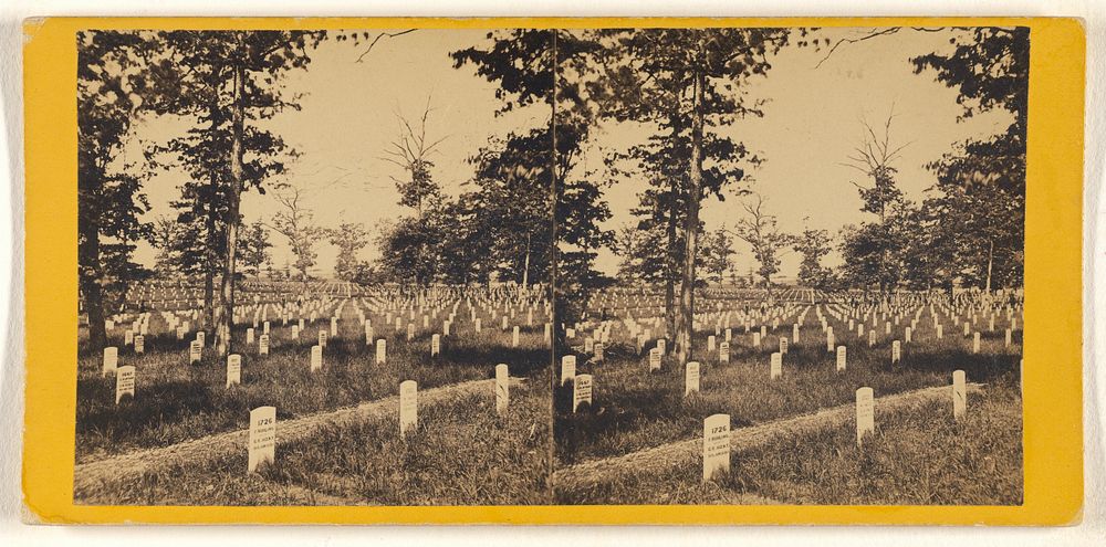 Arlington Cemetery by George D Wakely