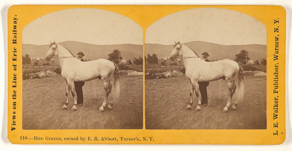 Rice Graves, owned by E.R. Abbott, Turner's, N.Y. by L E Walker