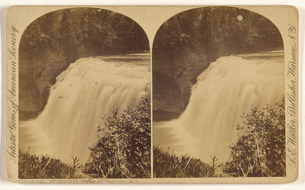 Middle Fall of Genesee River at Portage, N.Y. by L E Walker