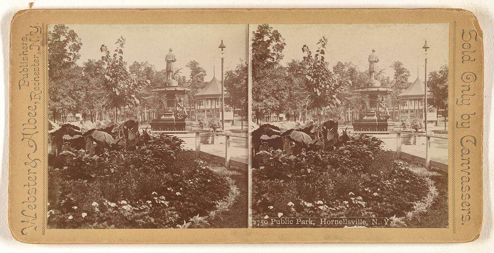 Public Park, Hornellsville, N.Y. by Webster and Albee