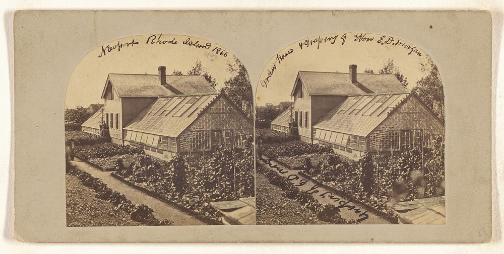Greenhouse & Grapery of Hon. E.D. Morgan, Newport, R.I. by J A Williams