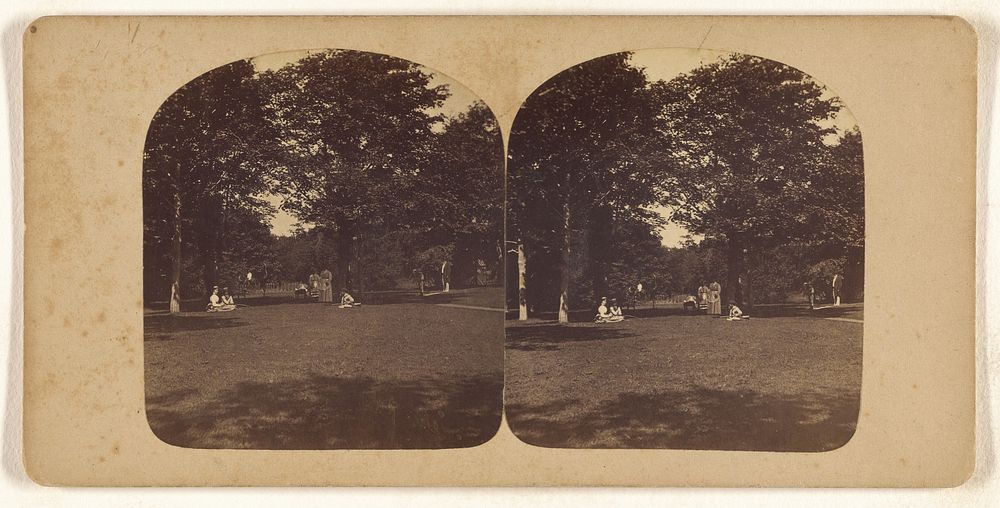 View of a park, Newport, Rhode Island by J A Williams