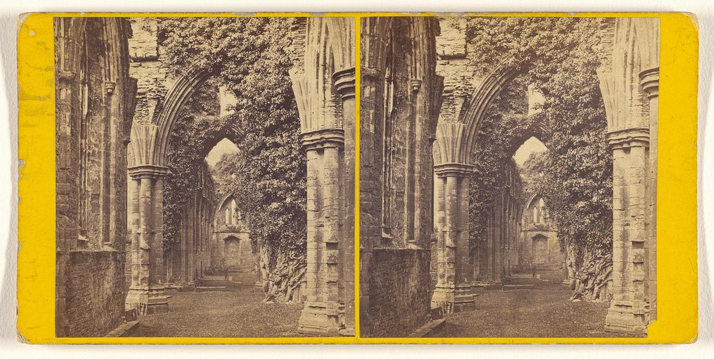 Tintern Abbey: South Aisles. by Alexander Wilson