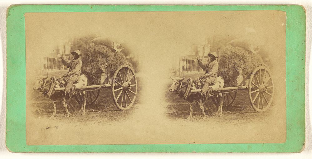 Black man on ox-driven cart filled with hay by Wilson and Havens