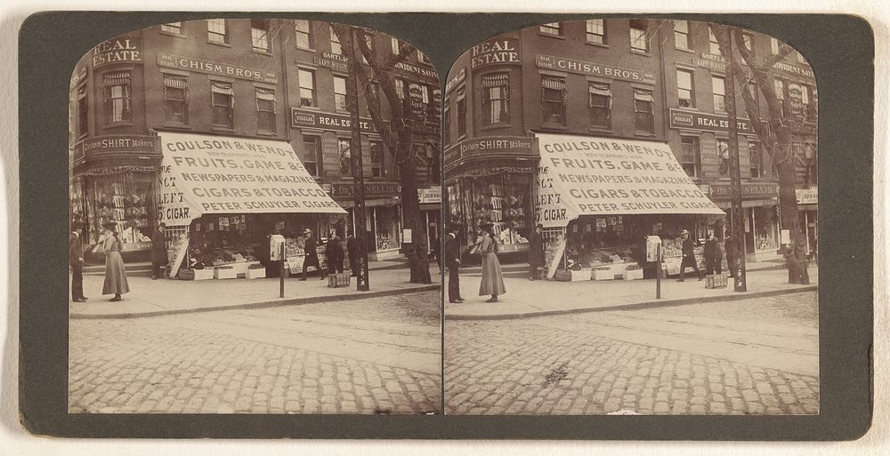 Cor No Pearl St. and State. Albany N.Y. 1902]/[Dexter Bldg. by Julius M Wendt