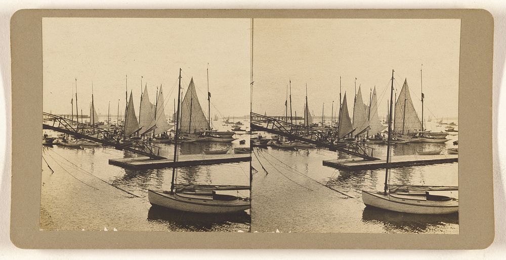 Sailboats in harbor