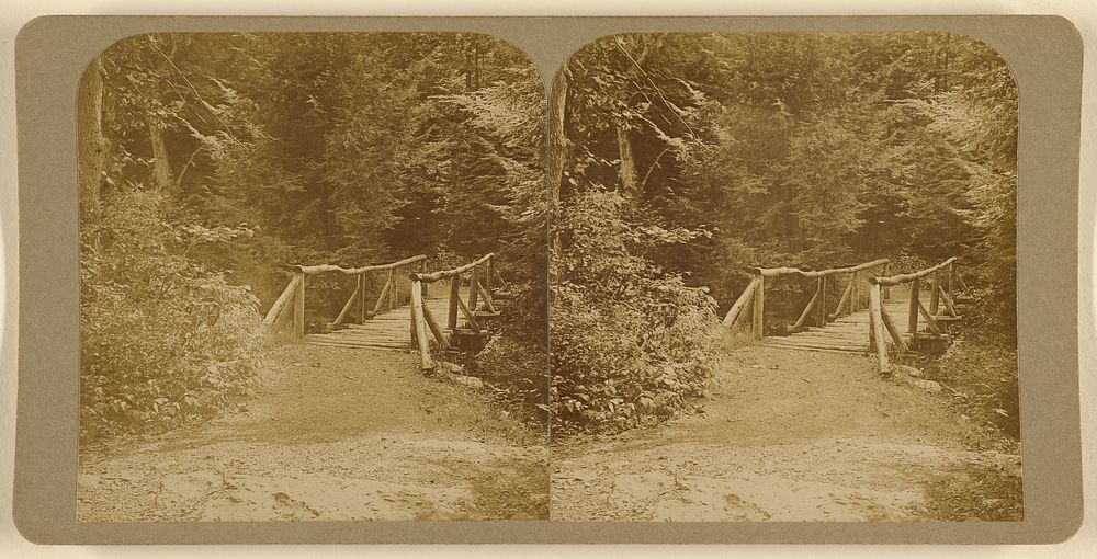 Hamlock Gorge, Newton Upper Falls, Mass. by D J Lindsay