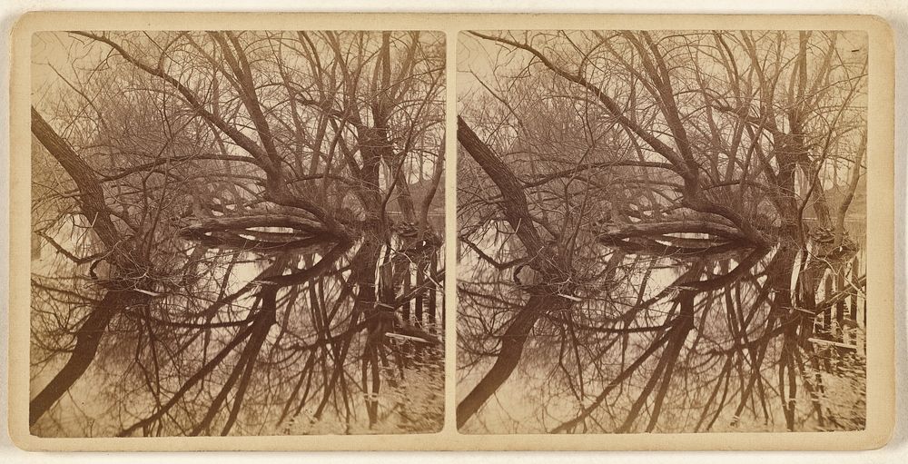 Merrimack River, pseudo-scopic by Bushby and Hart