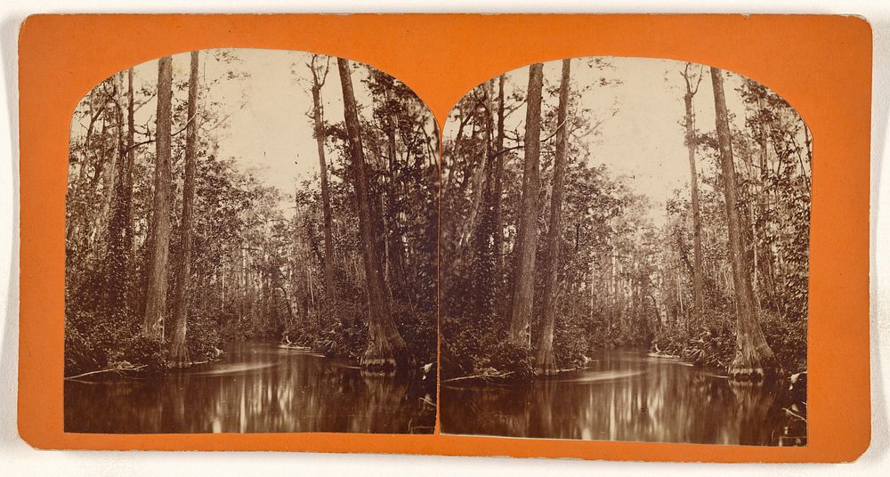 Cypress Gate on the Ocklawaha R.