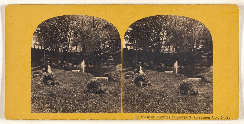 View of Grounds at Newport, Herkimer Co., N.Y.