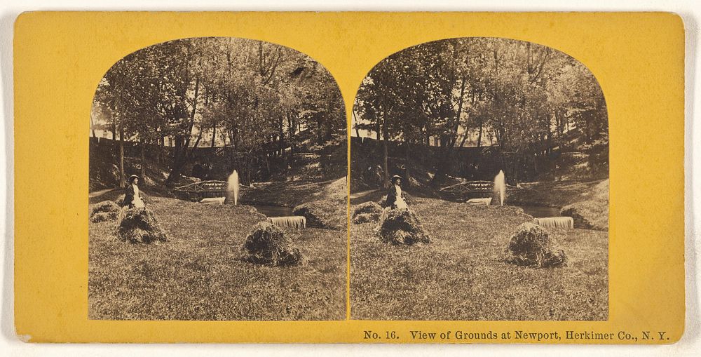View of Grounds at Newport, Herkimer Co., N.Y.