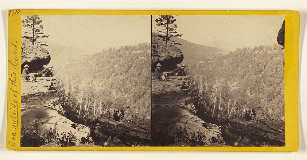 View from the top of Kauterskill Fall, looking down the Glen by Edward and Henry T Anthony and Co