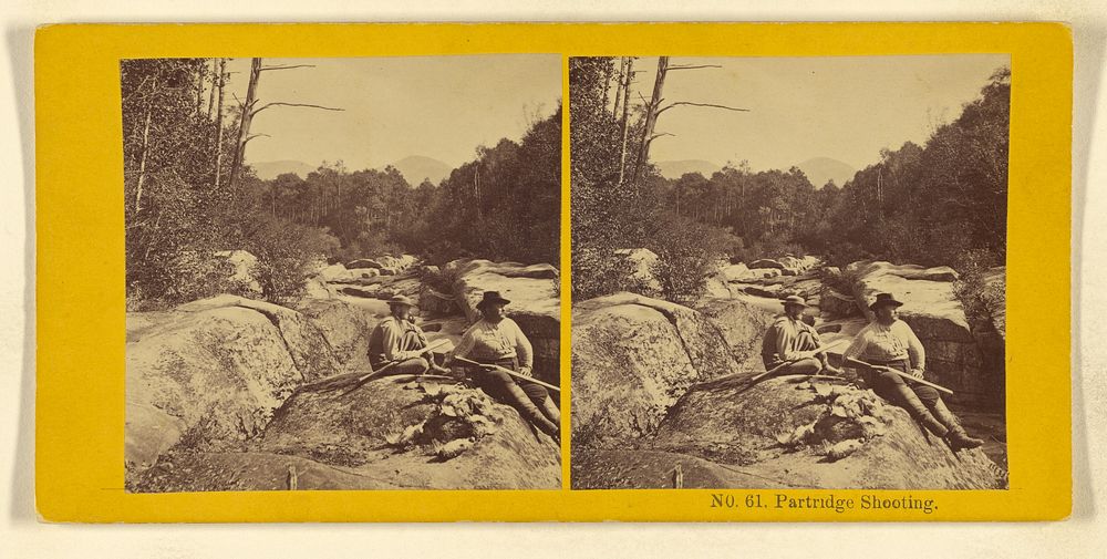Partridge Shooting. by Benjamin West Kilburn