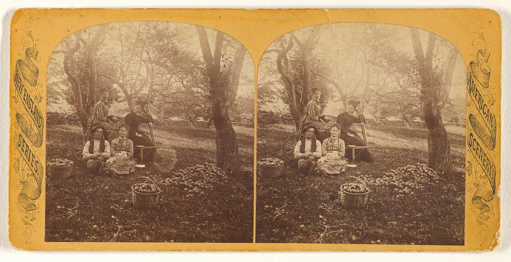 Three women and a man in apple orchard, baskets of apples on ground by Edward O Waite