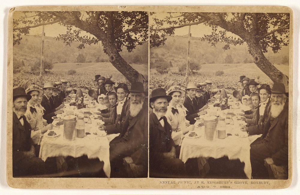Annual Picnic, at E. Kingsbury's Grove, Roxbury, Aug. 7, 1884.