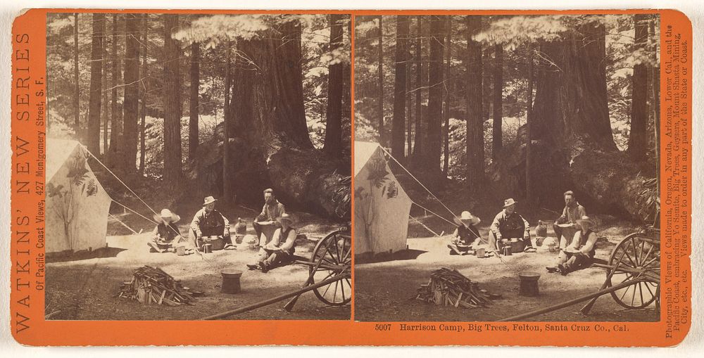 Harrison Camp, Big Trees, Felton, Santa Cruz, Co., Cal. by Carleton Watkins
