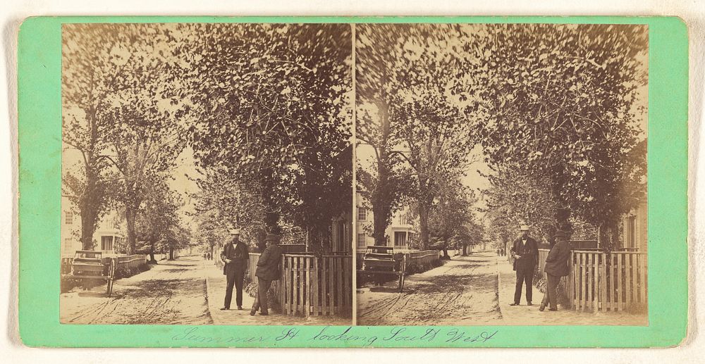 Summer Street, looking South West. [Edgartown, Mass.] by Charles H Shute and Son
