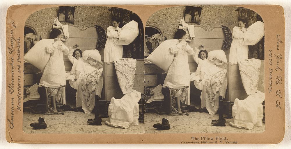 The Pillow Fight. by R Y Young