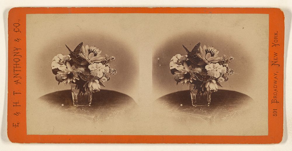 Flowers in a large glass by Edward and Henry T Anthony and Co