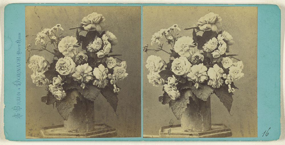 Vase of flowers by Adolphe Braun