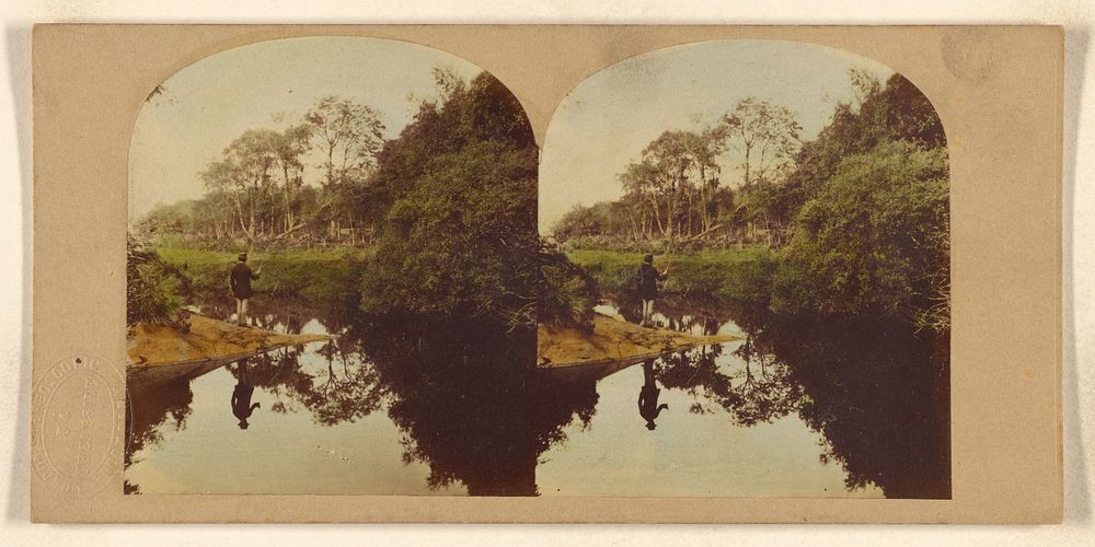 A Quiet Moment - a View in Killarney. by Joseph John Elliott and London Stereoscopic and Photographic Company