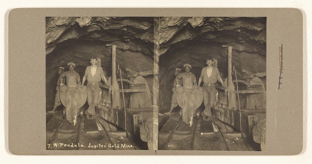 A Pendula. Jupiter Gold Mine (recto); Pipe Fitting. Wolhuter Gold Mine (verso) by J Wilbur Read