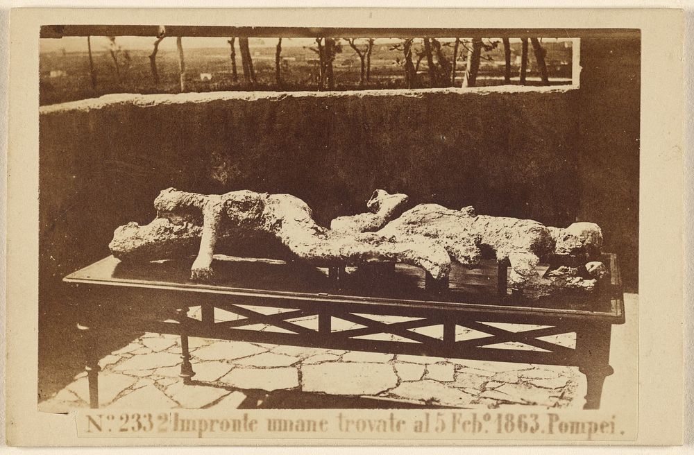 Impronte mnane trovate al 5 Feb 1863. Pompei. by Sommer and Behles