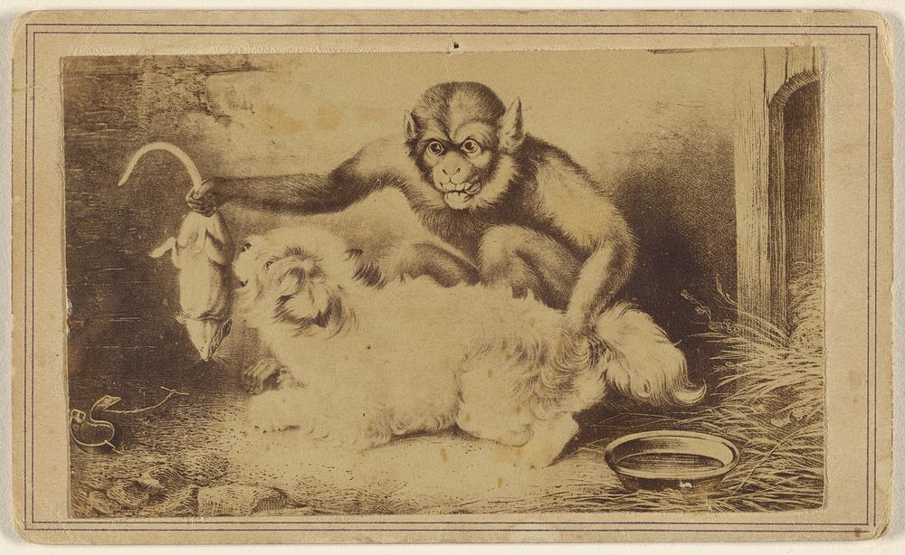 Copy of a painting depicting a monkey holding a rat by its tail in front of a small white dog
