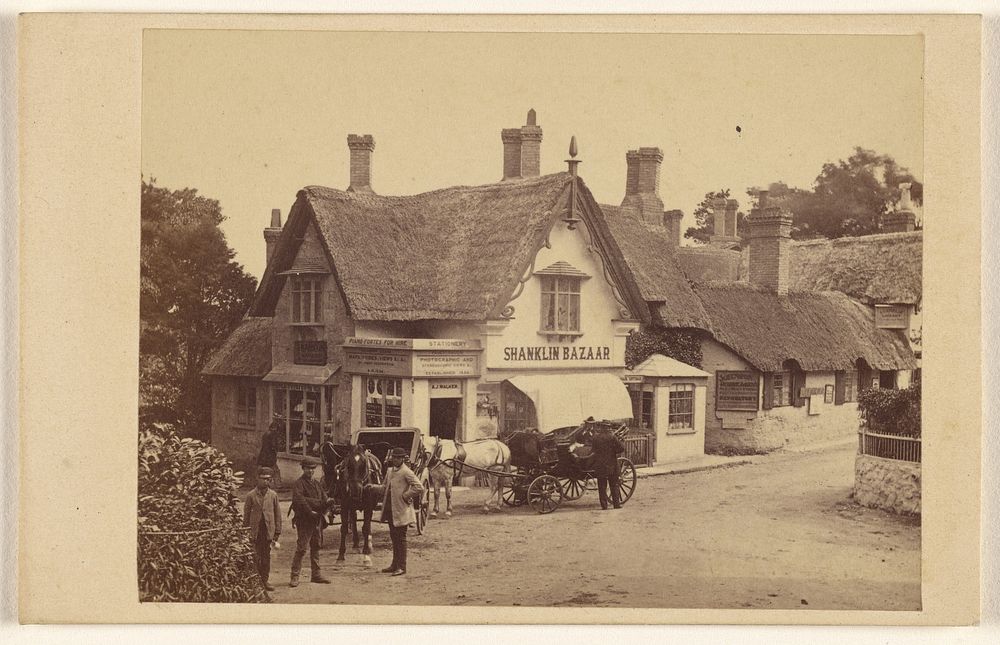 View of Shanklin Bazaar, Isle of Wight by Brown and Wheeler