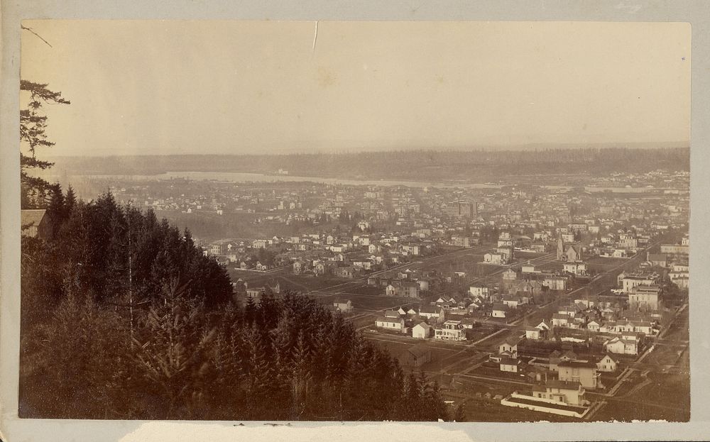High Angle view of Portland, Oregon by Carleton Watkins