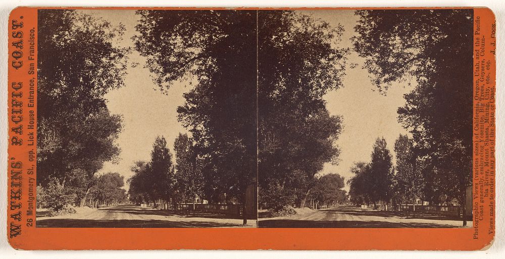 Tree-lined street view of San Gabriel, California by Carleton Watkins