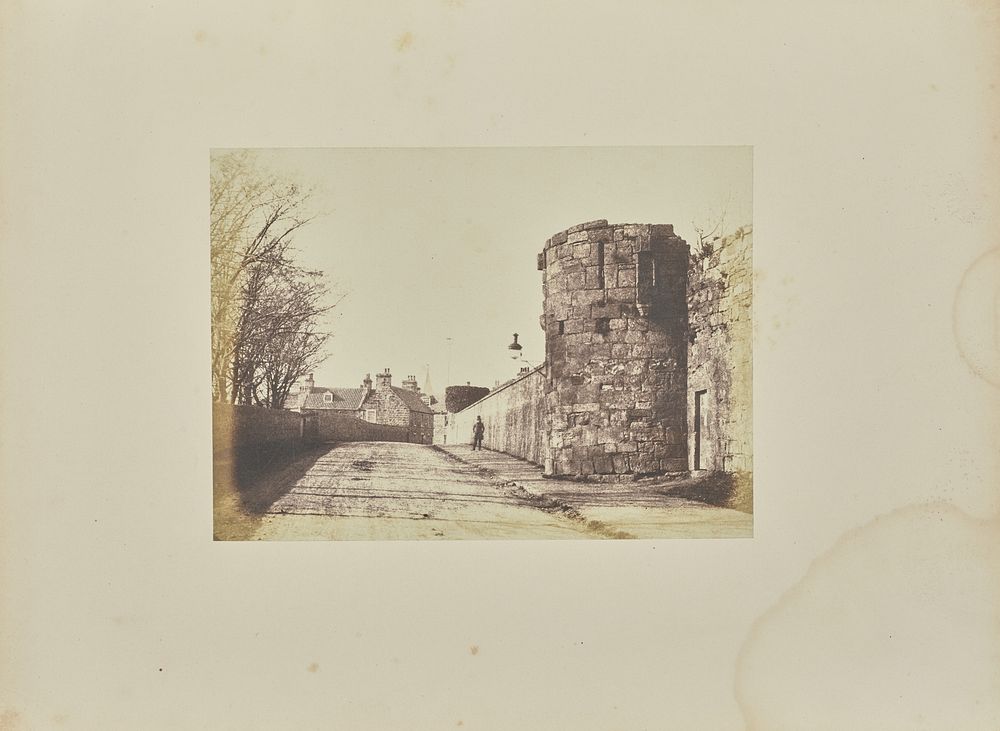 The Abbey Wall, St Andrews by Hill and Adamson