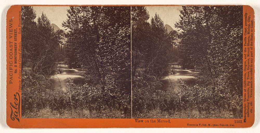 View on the Merced by Carleton Watkins