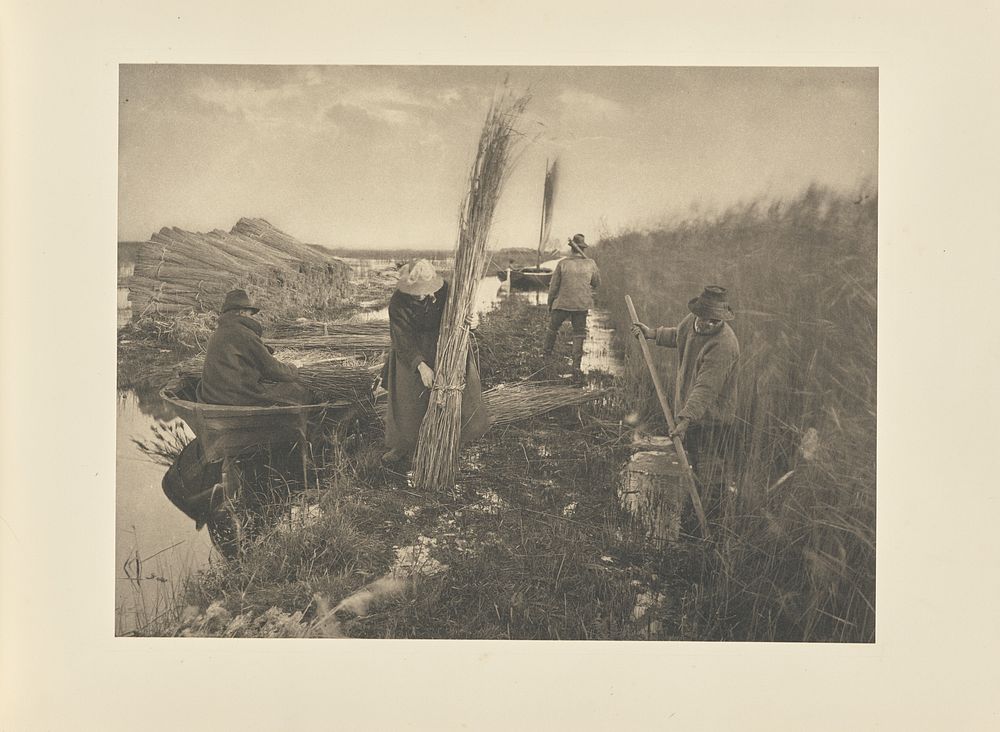 During the Reed-Harvest by Peter Henry Emerson
