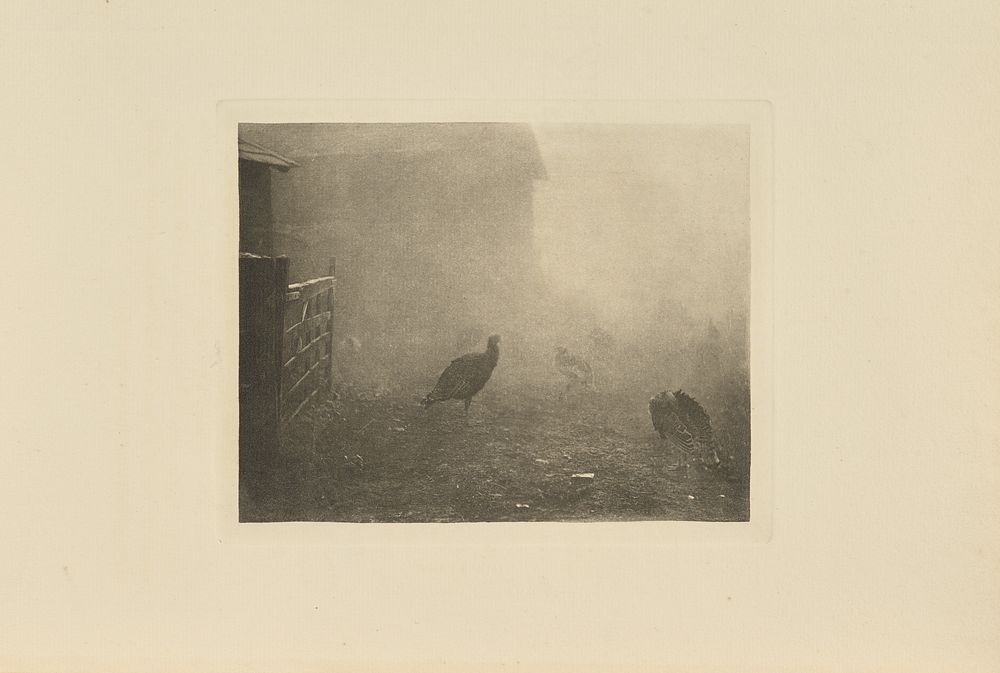 A Corner of the Farm-Yard by Peter Henry Emerson