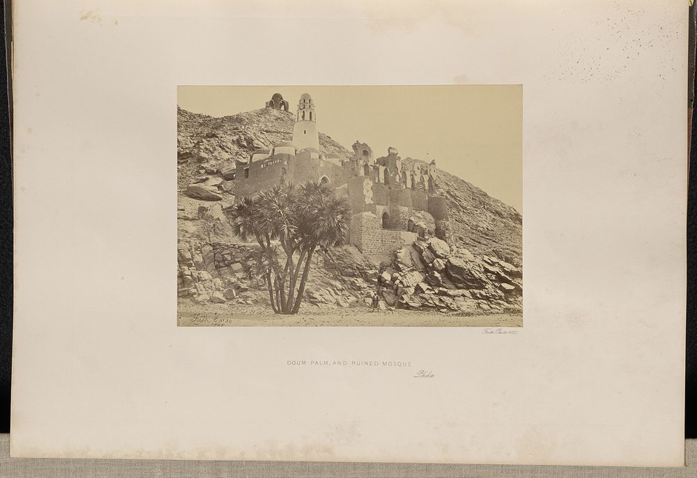 Doum Palm and Ruined Mosque, Philae by Francis Frith