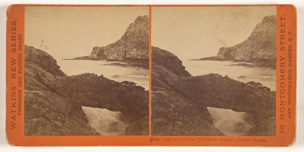 Shubrick Point, Farallone [sic] Islands, Pacific Ocean by Carleton Watkins
