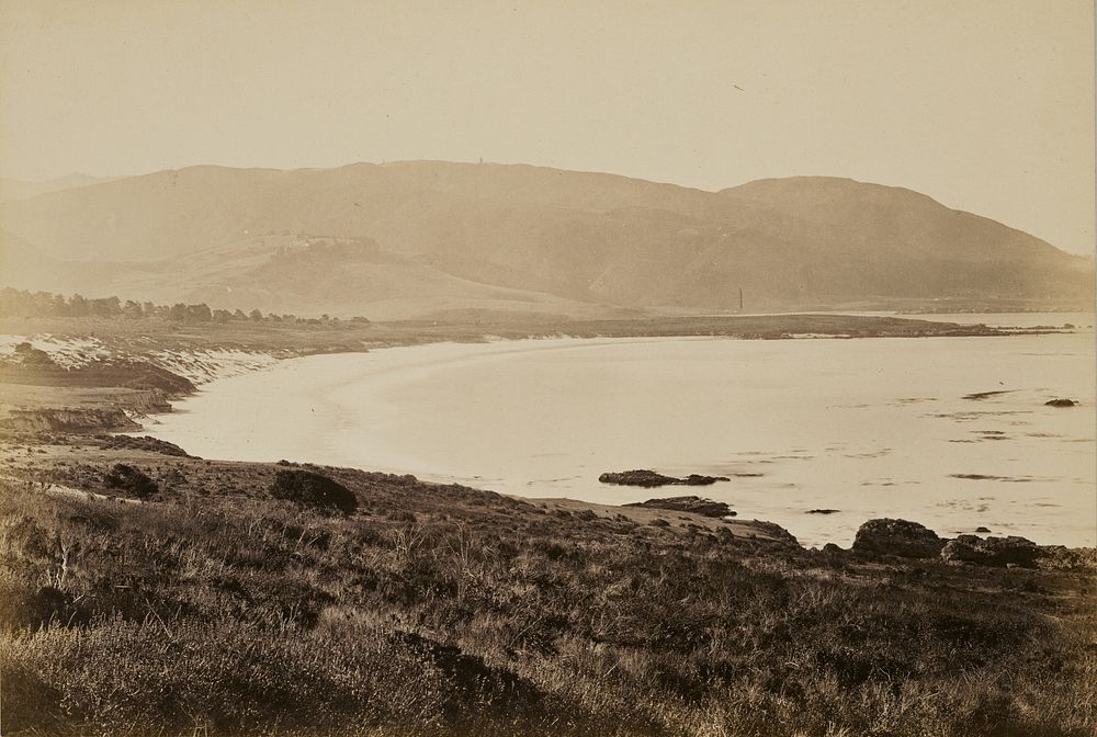 Coast View, Monterey by Carleton Watkins