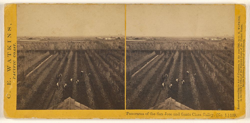 Panorama of the San Jose and Santa Clara Valley [No.1] (#169) by Carleton Watkins