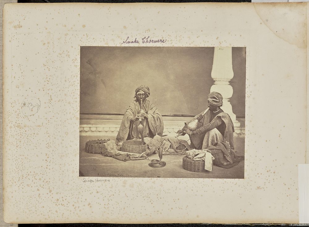 Snake Charmers by Charles Shepherd and Shepherd and Robertson