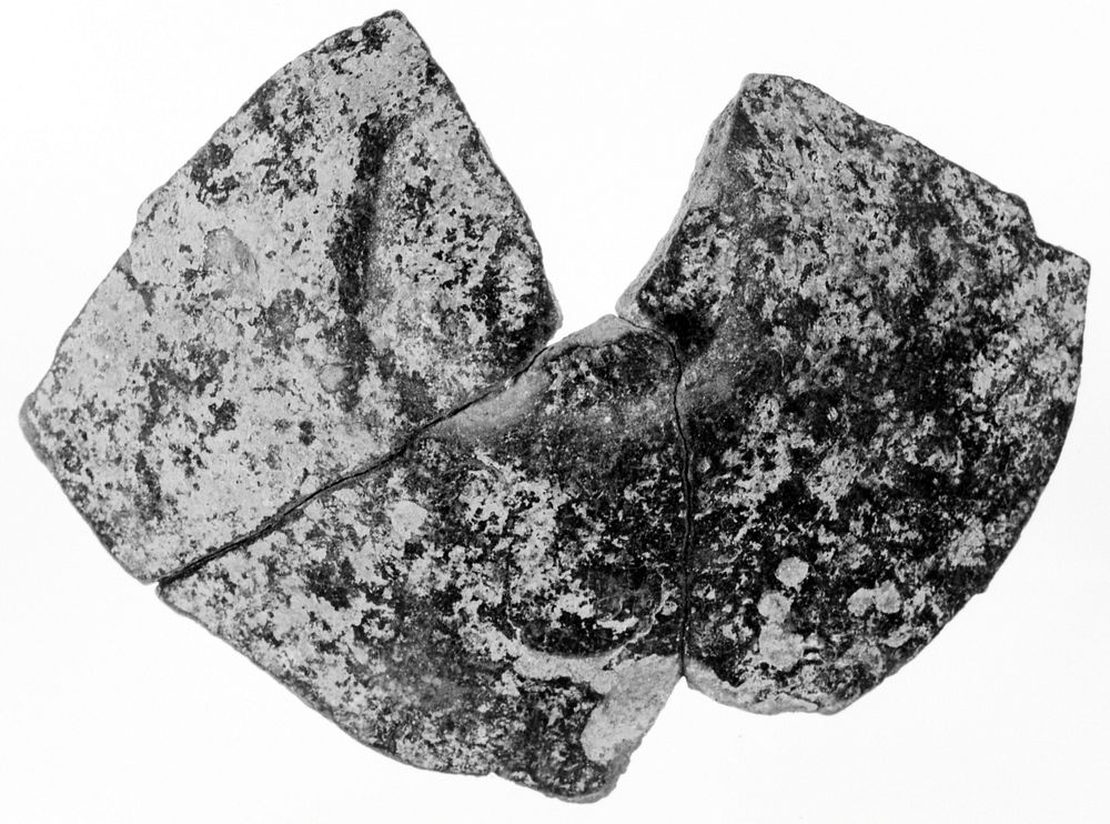 Fragment of a Small Bowl or Kyathos