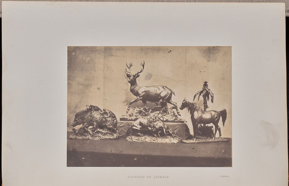 Castings of Animals by Claude Marie Ferrier and Hugh Owen