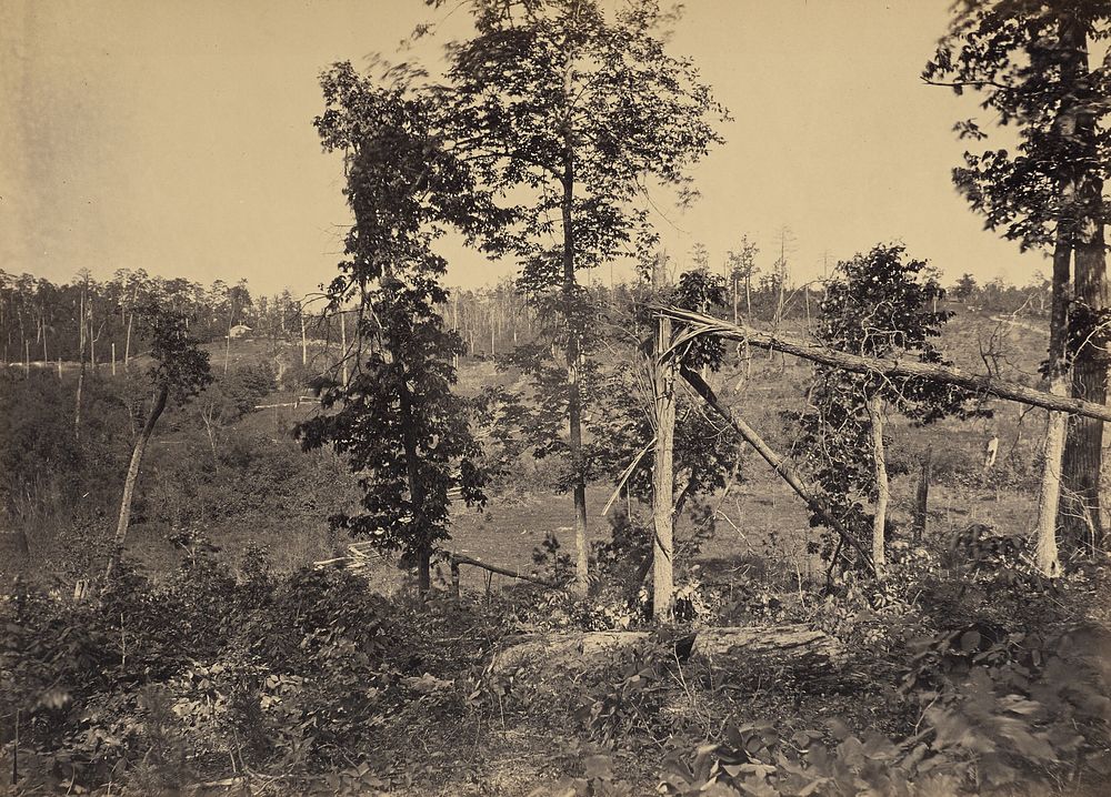 Battle Ground of Resacca, Georgia, No. 2 by George N Barnard