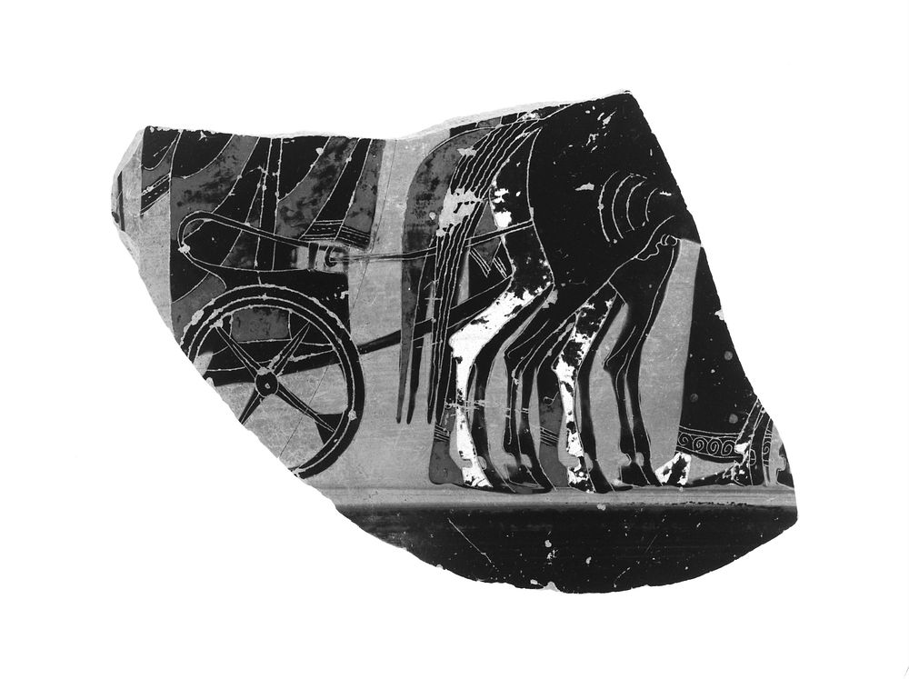 Attic Black-Figure Amphora Fragment (comprised of 2 Joined Fragments)