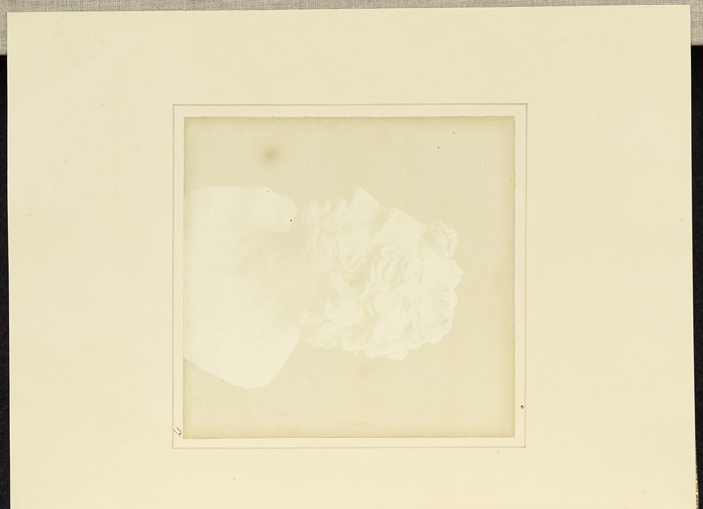 Bust of Patroclus by William Henry Fox Talbot